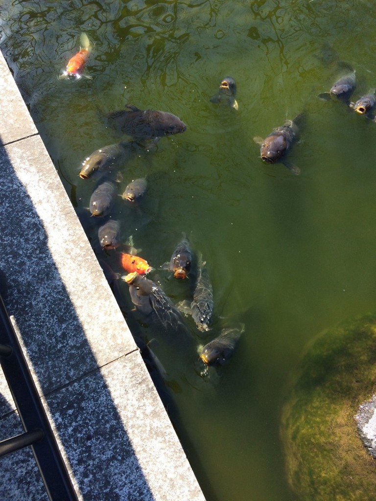 粕川温泉元気ランド