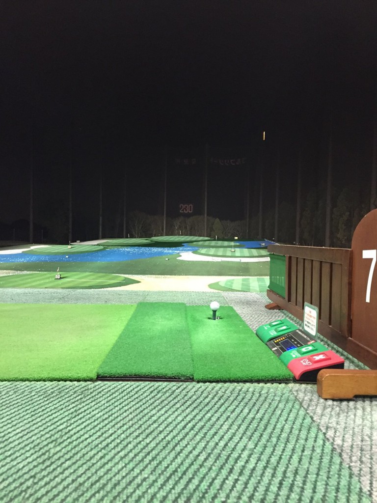 Golf Resort Hanamigawa (ゴルフリゾート花見川) - メイン写真: