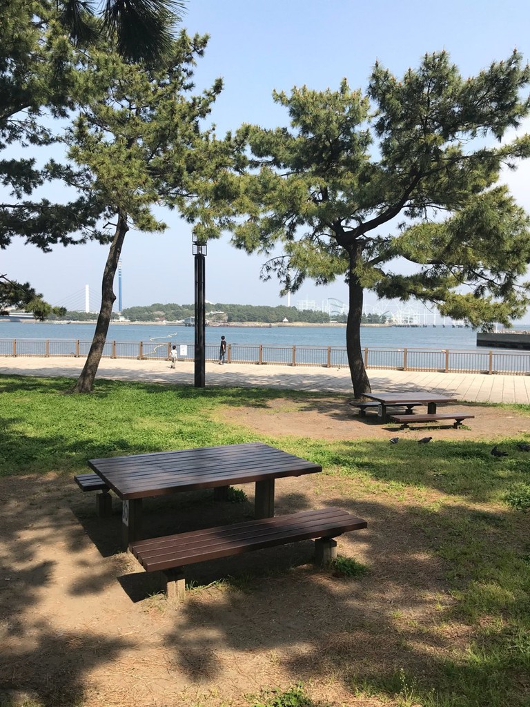 海の公園 磯浜駐車場 - メイン写真: