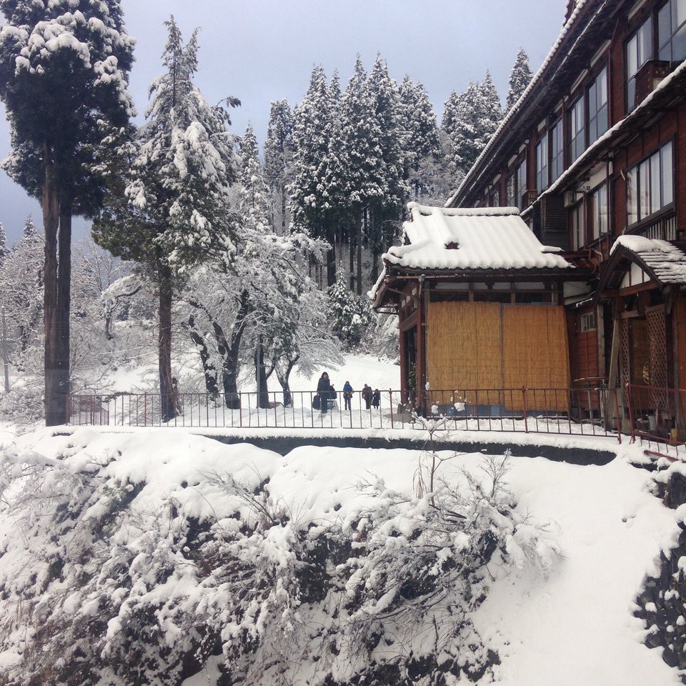 越後松之山温泉 凌雲閣 - メイン写真: