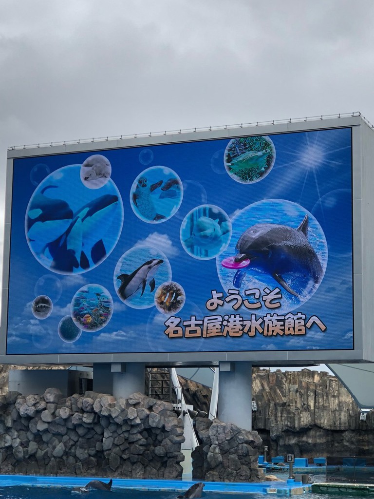 名古屋港水族館スタジアム - メイン写真: