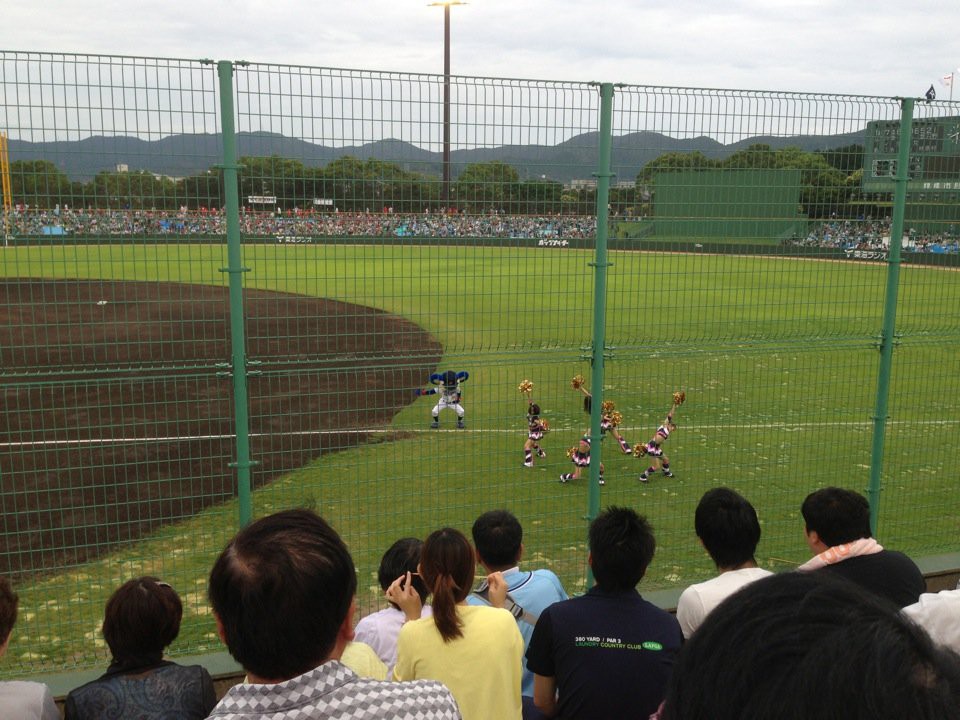 Toyohashi Municipal Baseball Stadium (豊橋市民球場) - メイン写真: