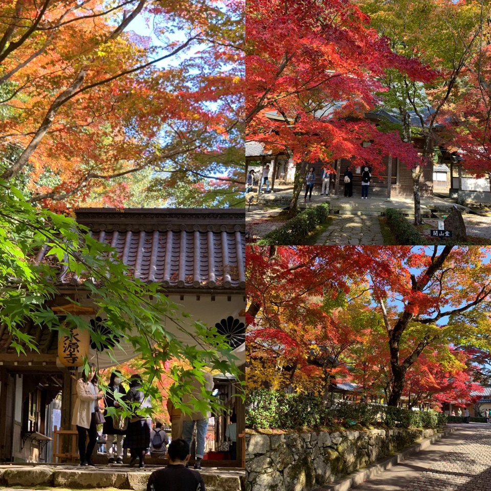 永源寺 - メイン写真: