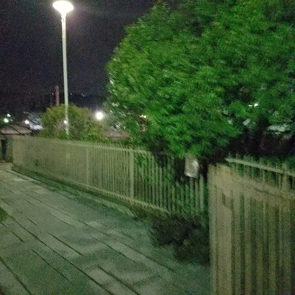 都賀川公園 - メイン写真: