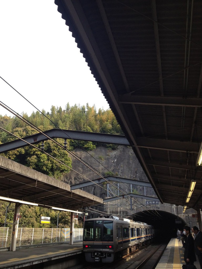 Nishinomiya-Najio Station (西宮名塩駅) - メイン写真: