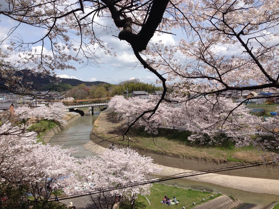 竜田川緑地 - メイン写真: