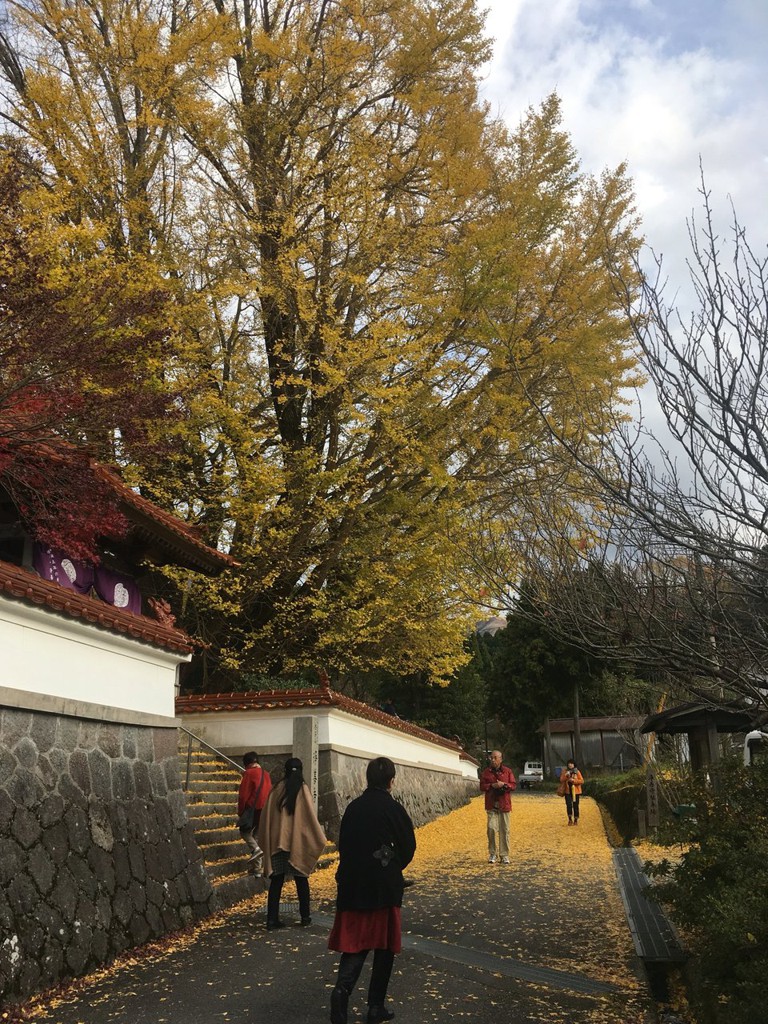 浄善寺 - メイン写真: