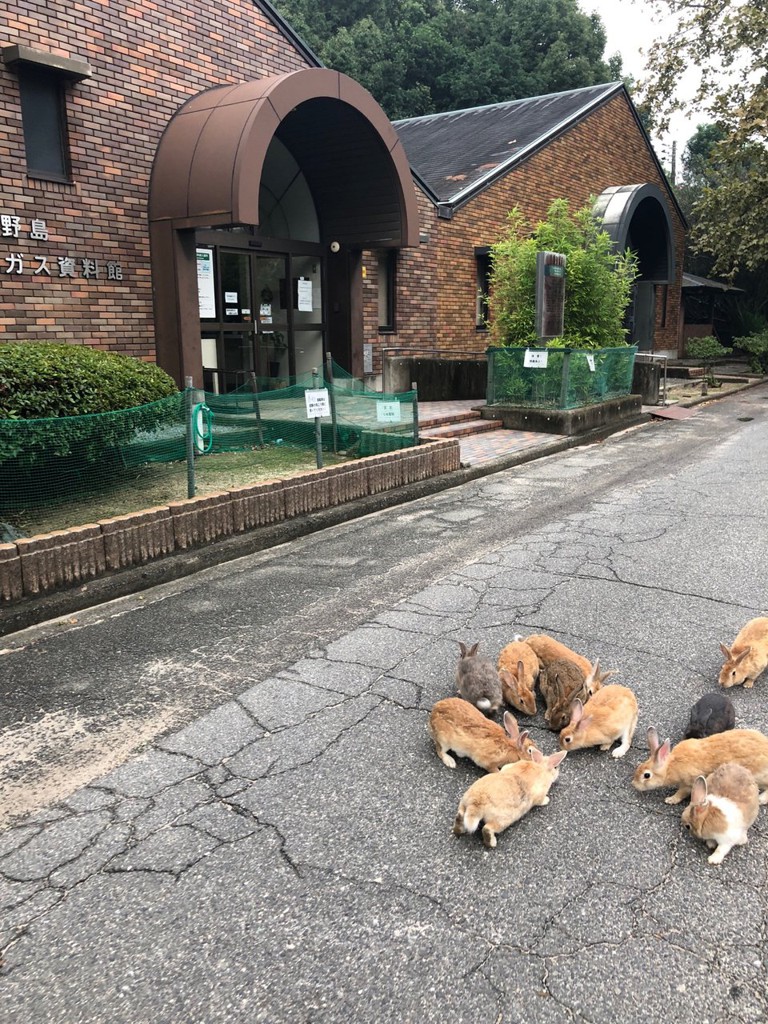 Okunoshima Poison Gas Museum (大久野島毒ガス資料館) - メイン写真: