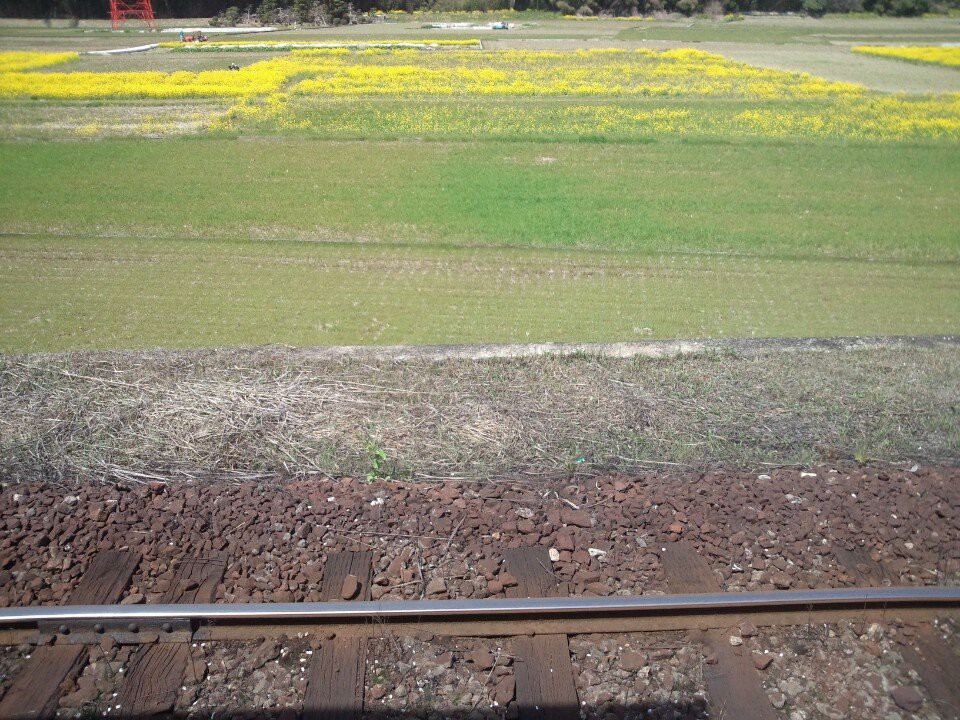 南河内駅 - メイン写真: