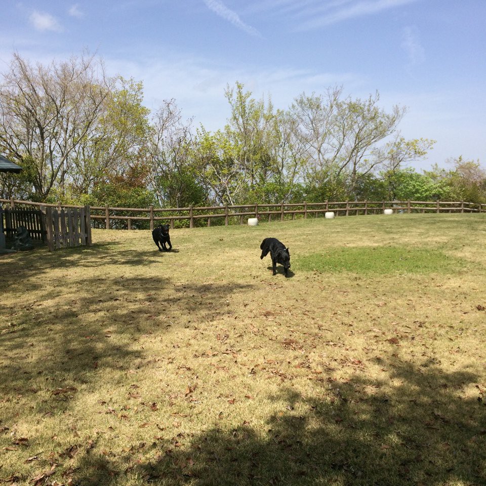 神山森林公園 - メイン写真: