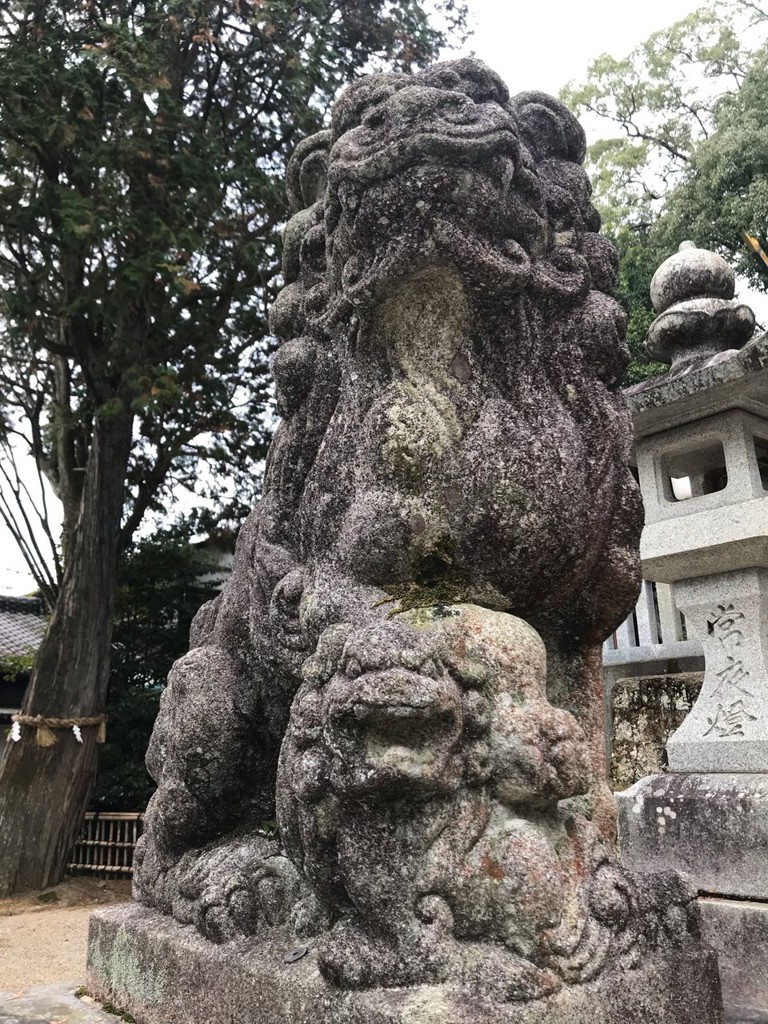 黒髪神社 - メイン写真: