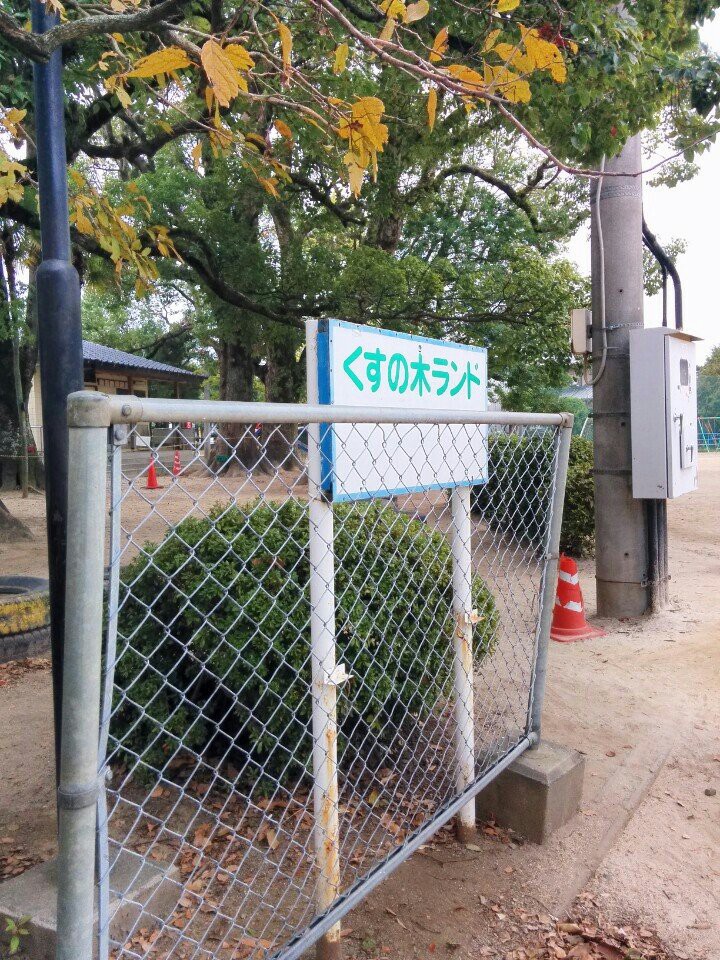 熊本市立田迎小学校 - メイン写真: