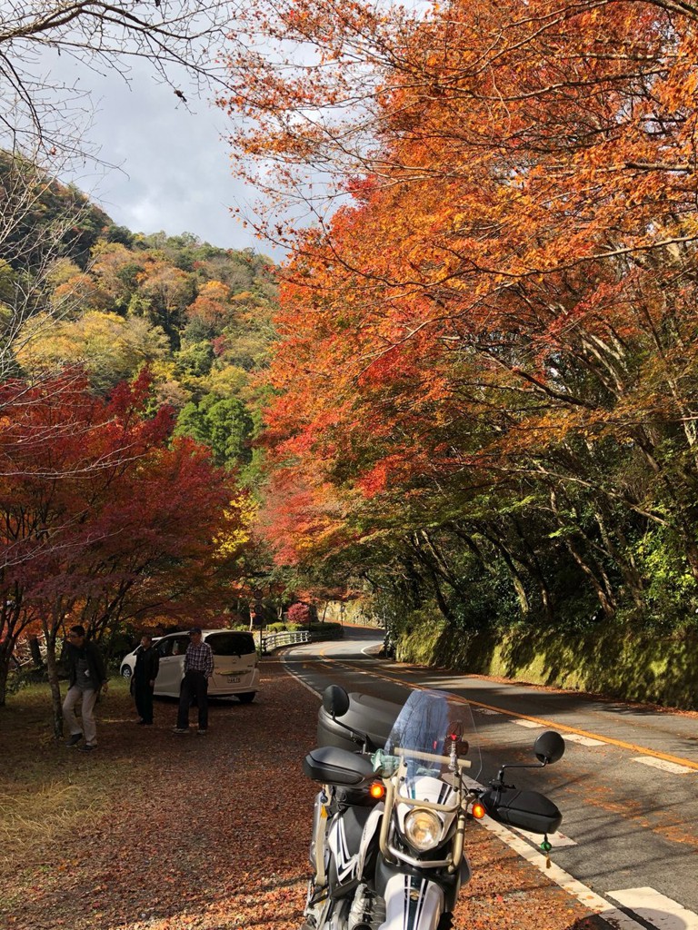 深耶馬溪観光案内所 - メイン写真: