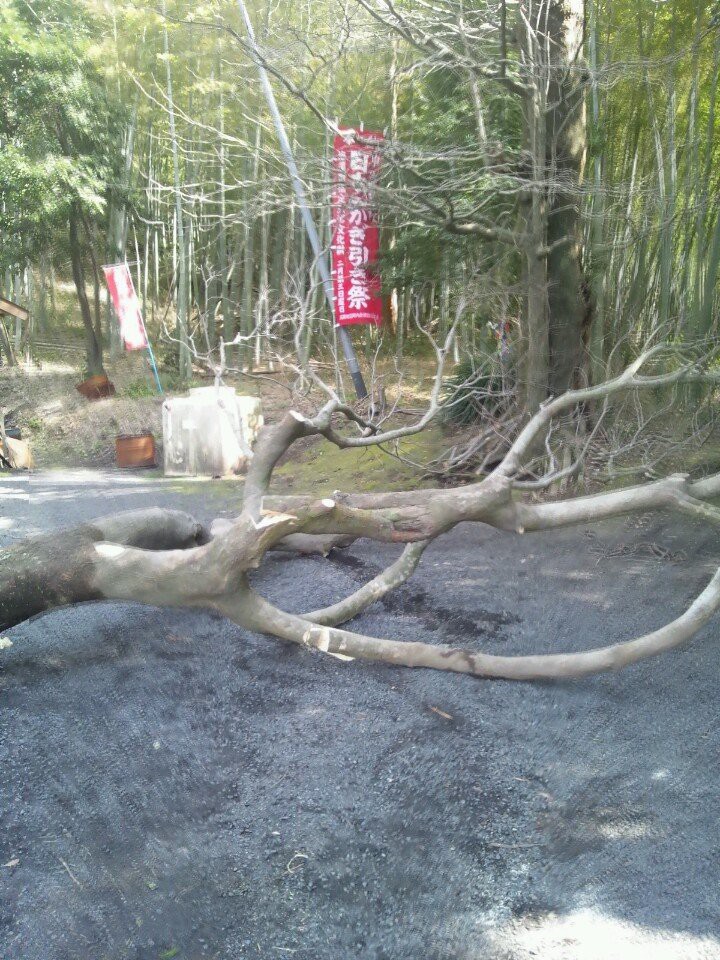 中津神社 - メイン写真: