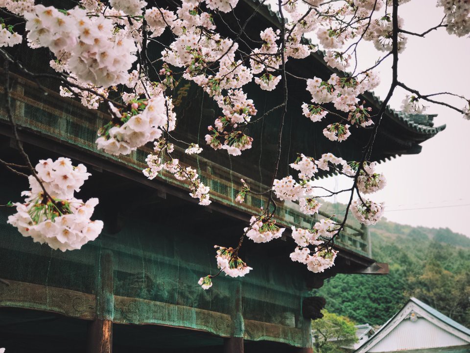 赤岩寺 山門 - メイン写真: