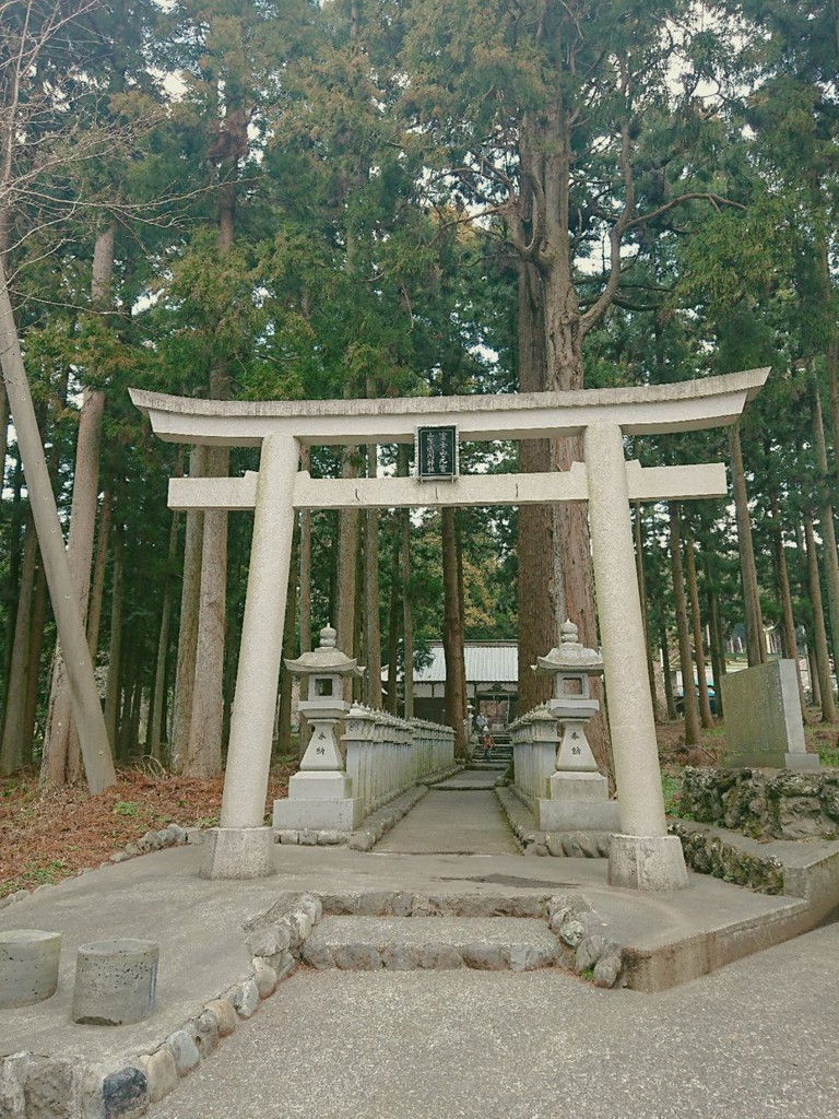 山宮浅間神社 - メイン写真: