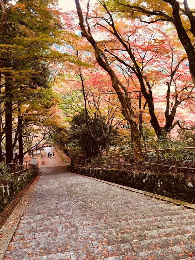 Gakuenji Temple (鰐淵寺) - メイン写真: