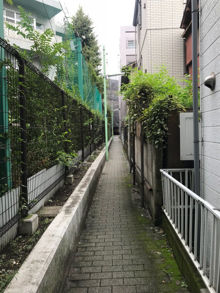 品川区立台場小学校 - メイン写真: