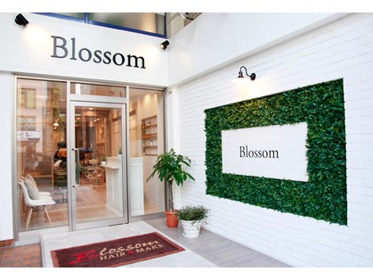 Blossom ANNEX 成増店 - メイン写真: