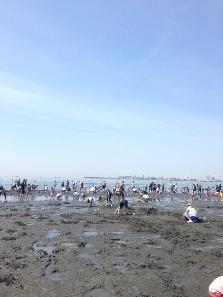 ふなばし三番瀬海浜公園 - メイン写真: