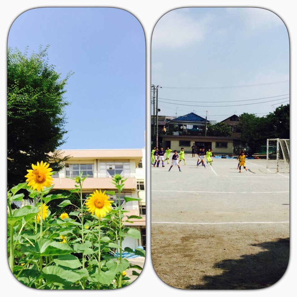 船橋市立 宮本小学校 - メイン写真: