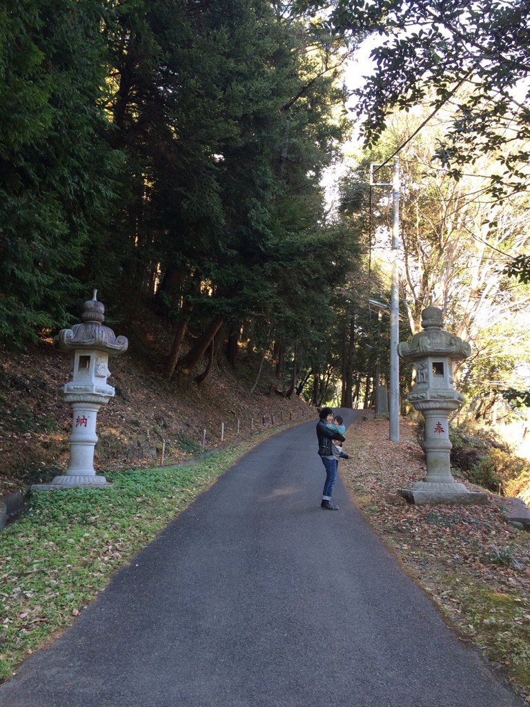 虎柏神社 - メイン写真: