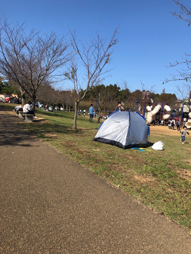 福岡堰さくら公園 - メイン写真: