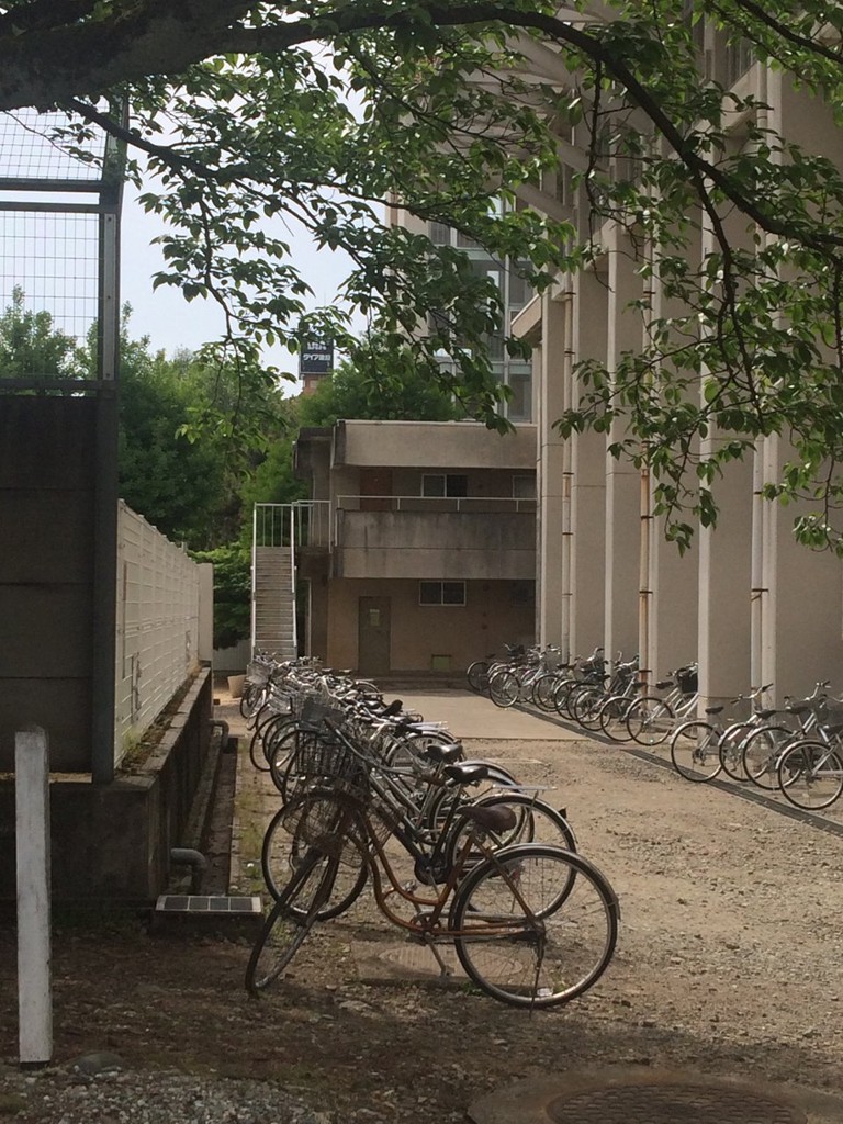 石川県立 金沢泉丘高等学校 - メイン写真: