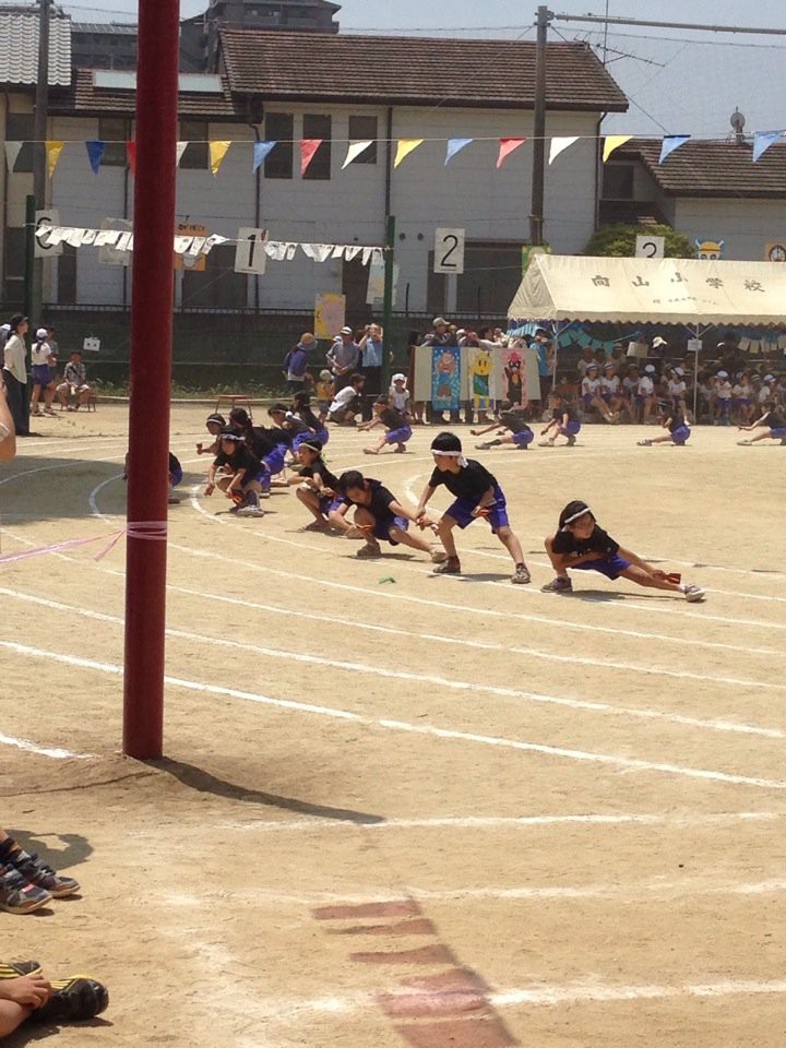 熊本市立向山小学校 - メイン写真: