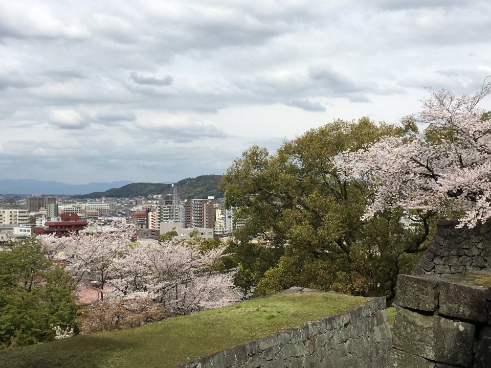 立田自然公園 - メイン写真: