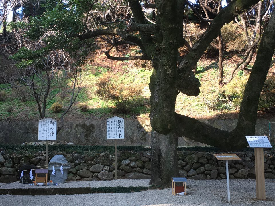 男女神社 - メイン写真: