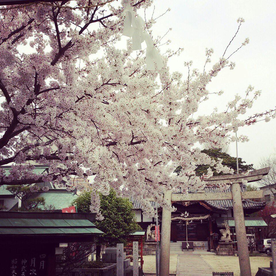 井手神社 - メイン写真: