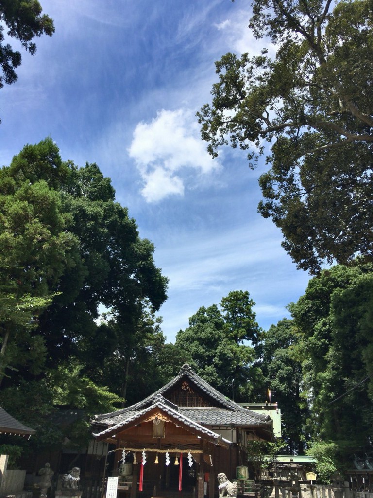 鴨都波神社 - メイン写真: