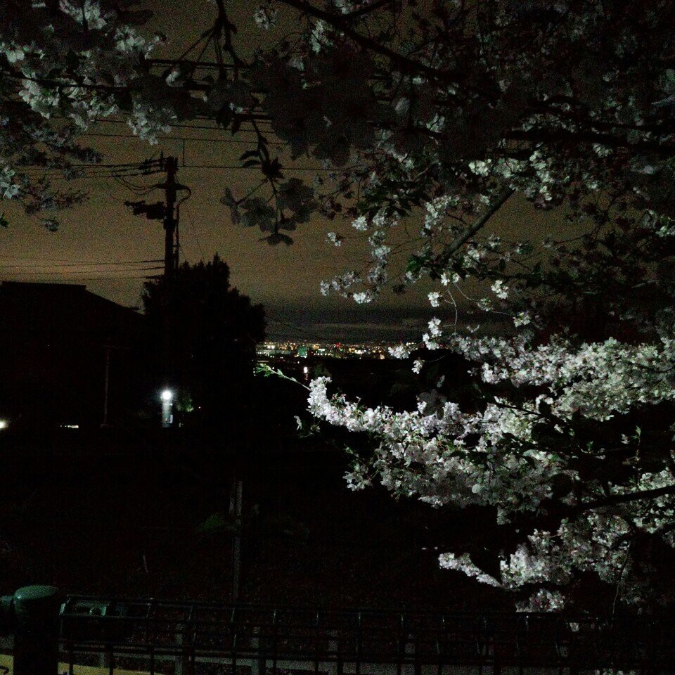 額田山荘会館 児童遊園 - メイン写真: