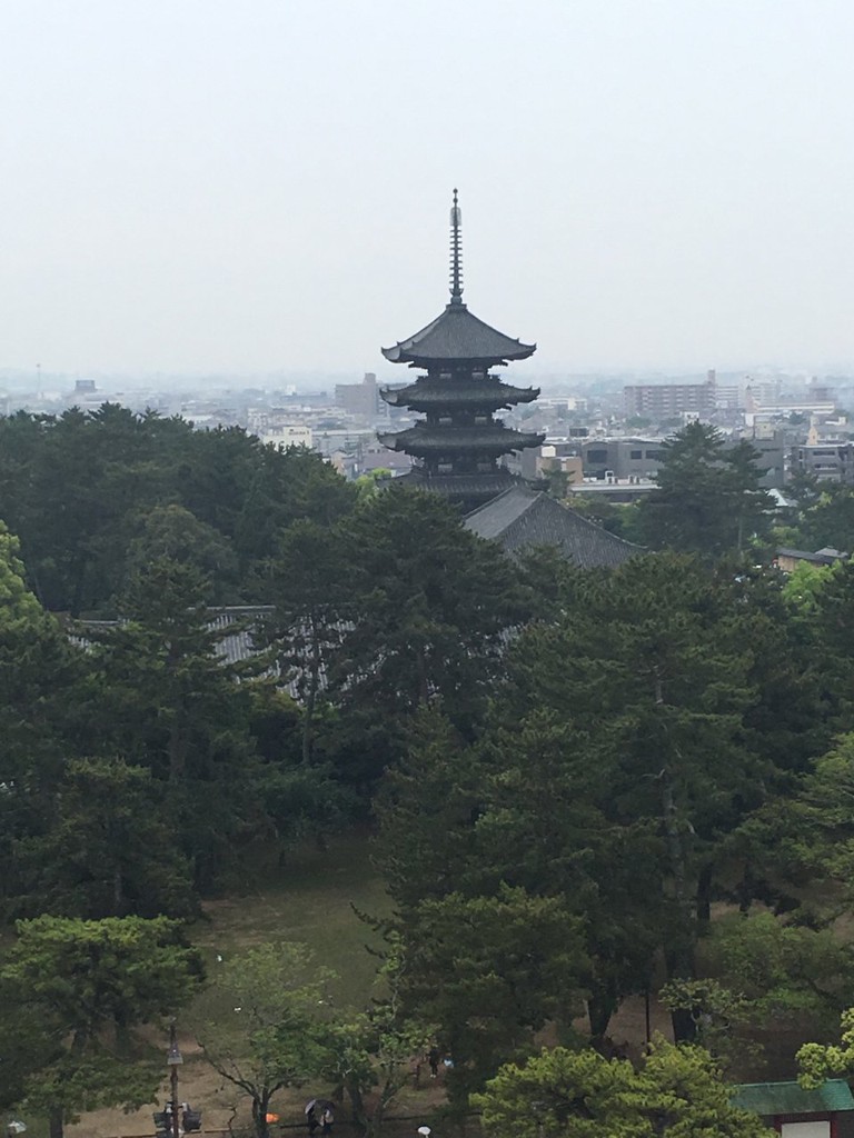 奈良県庁 屋上広場 - メイン写真: