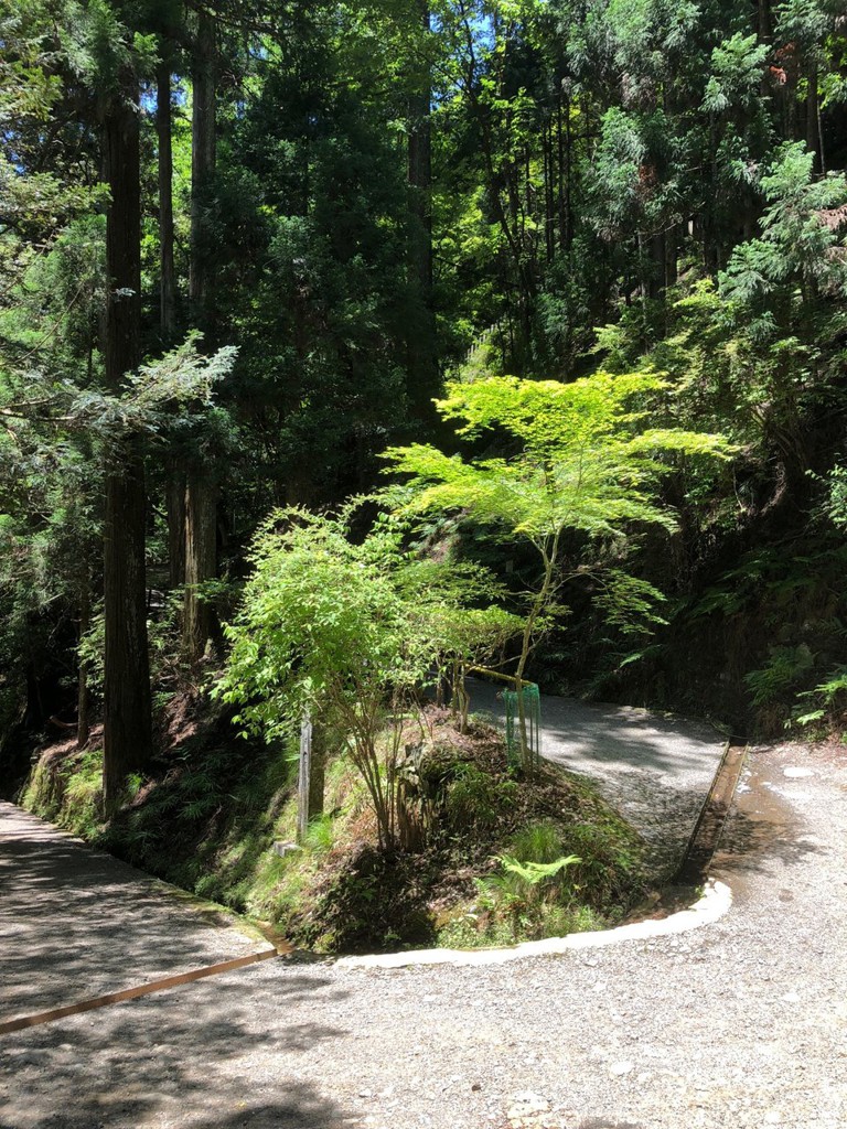 Kurama-dera (鞍馬寺) - メイン写真: