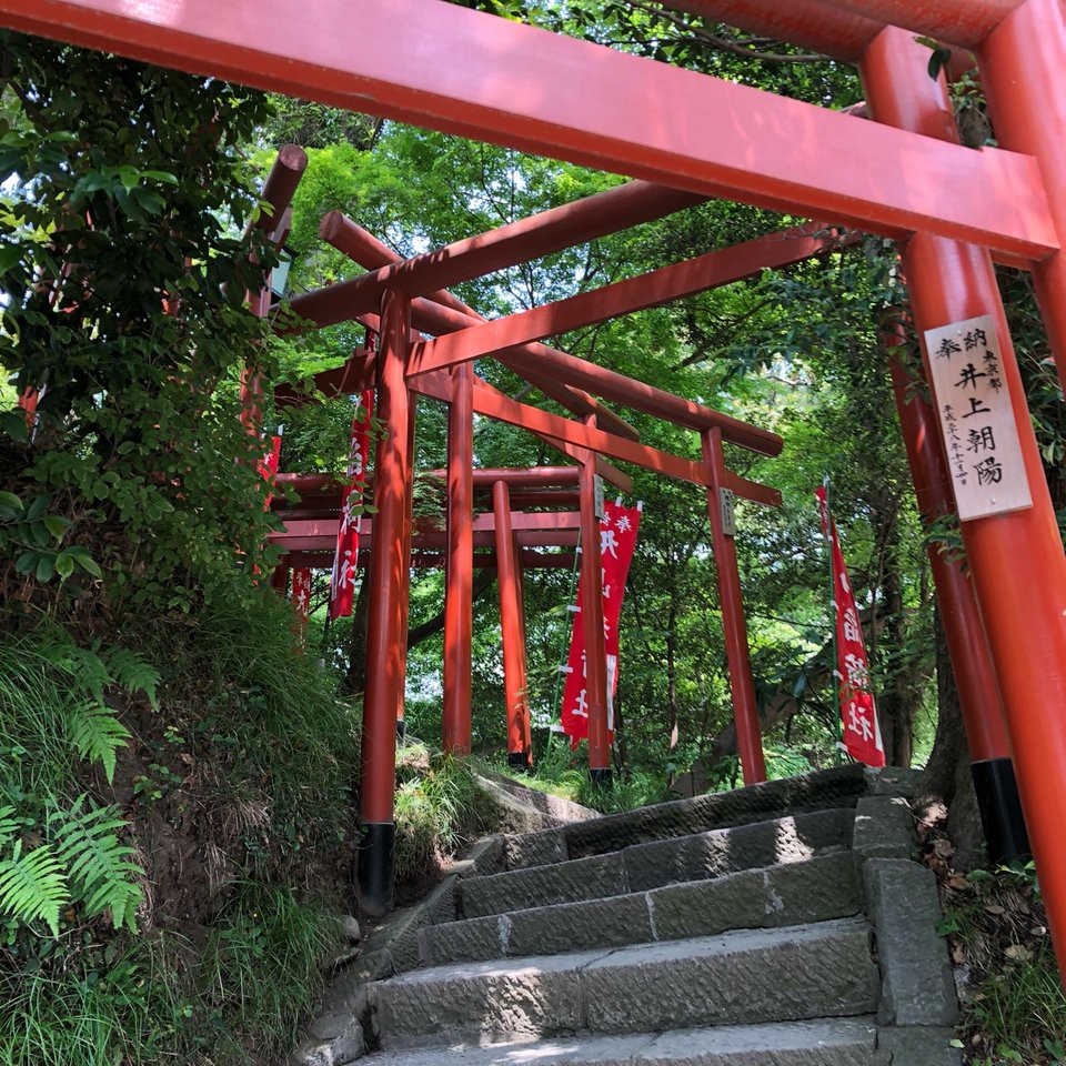 鶴岡八幡宮 本殿 - メイン写真: