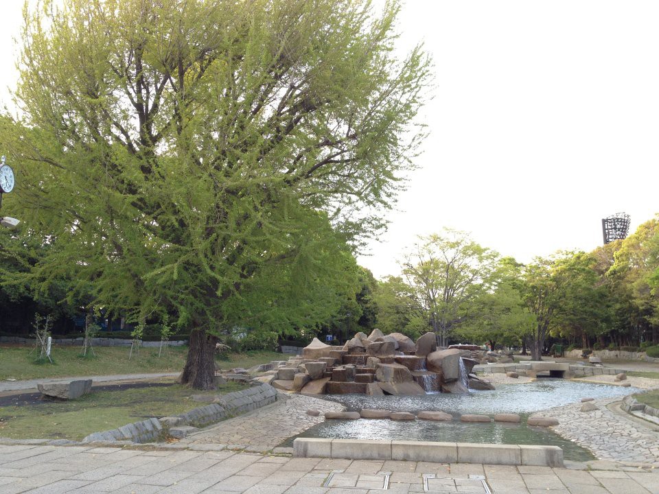 The 4 Best Park in Hiratsukashi