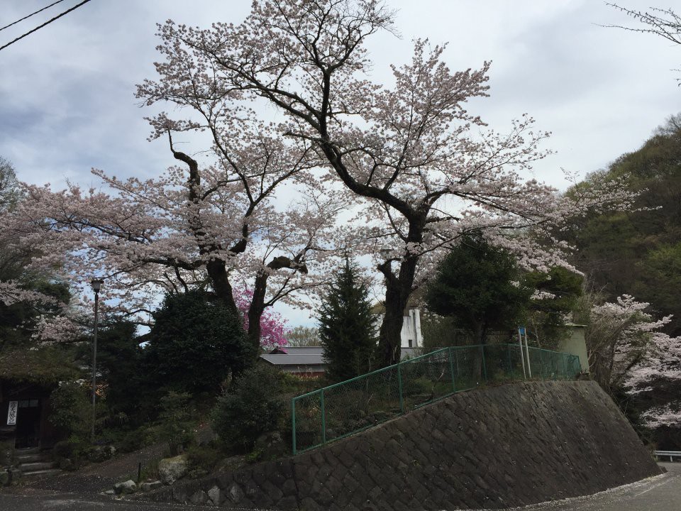 中屋旅館 - メイン写真: