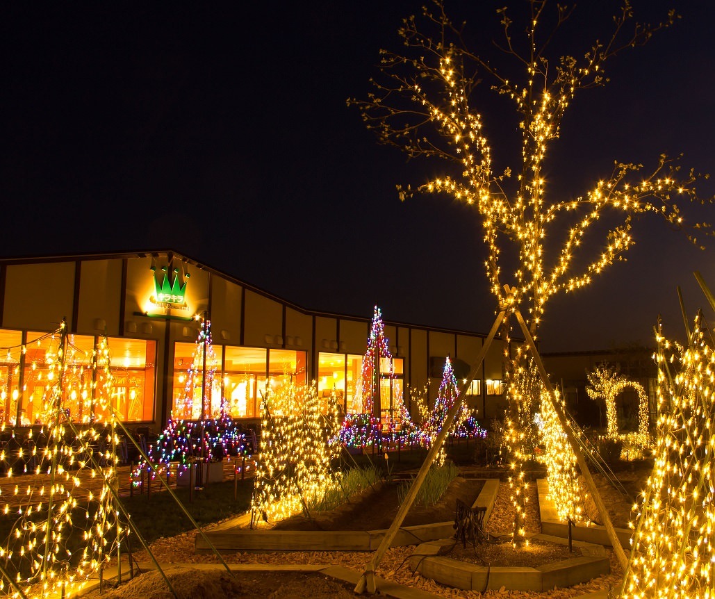 The 3 Best Illumination near hakata Station