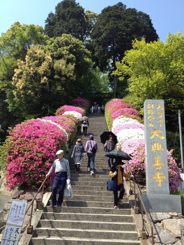 三養基郡 お寺・神社ランキングTOP4