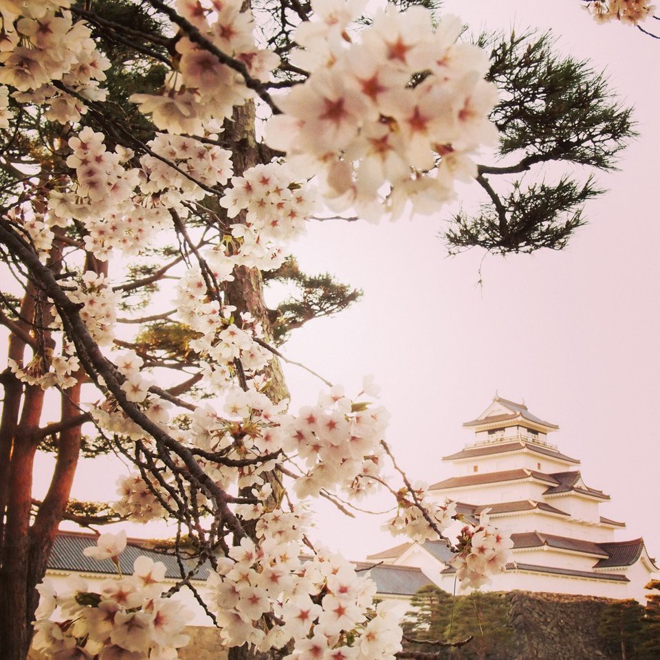 Bicycle rental Tsuruga Castle station (城下町レンタサイクル 鶴ヶ城ステーション) - メイン写真: