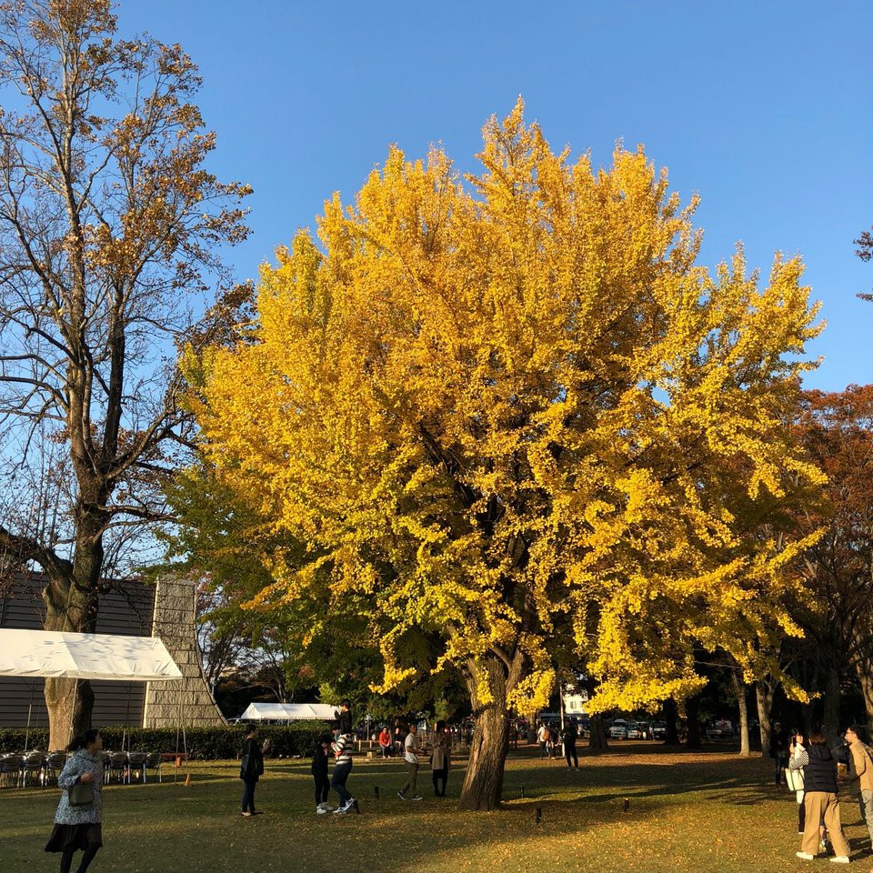 The 10 Best Museum in Ibaraki