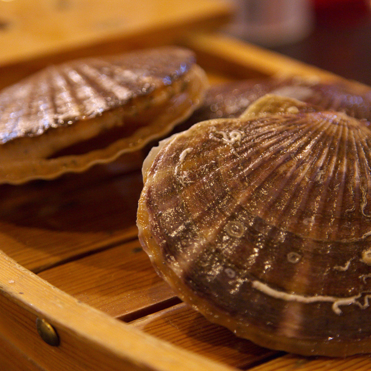 The 3 Best Hotate Sashimi in Aomorishi