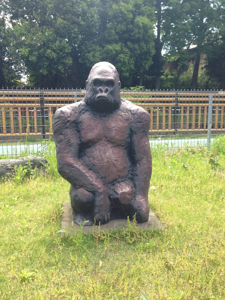 蓮田市図書館 - メイン写真: