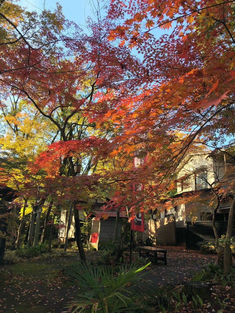 貯水池 鳥山 - メイン写真: