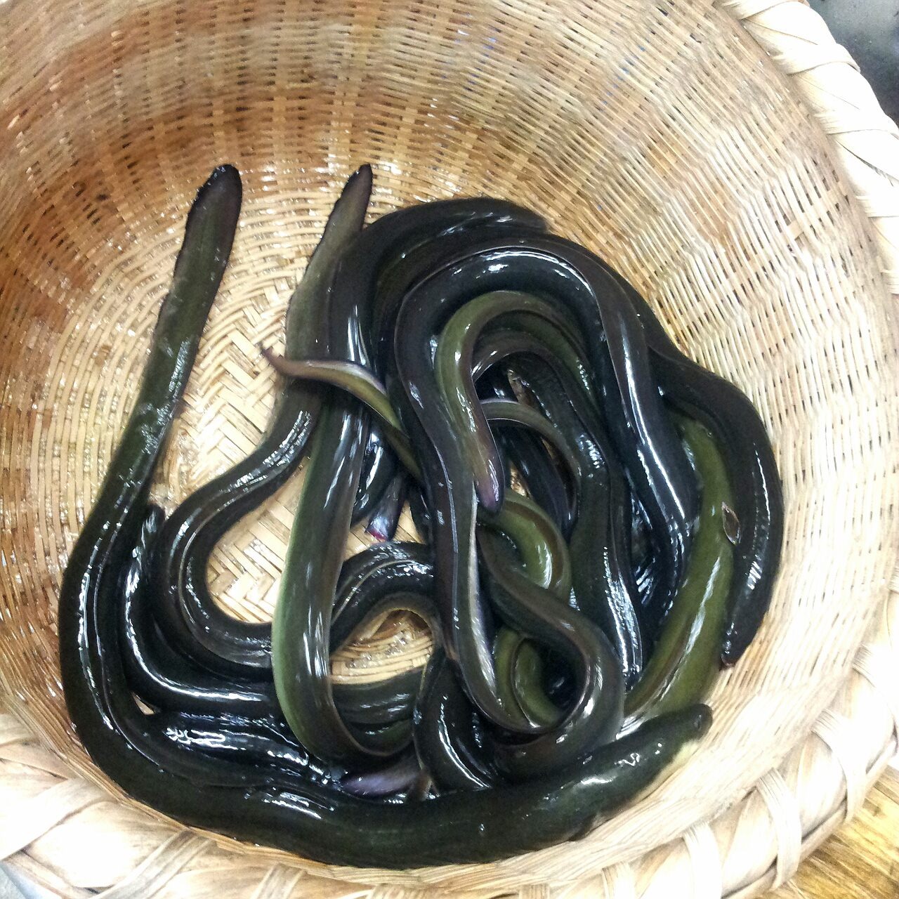 The 6 Best Natural Eel in Kumamoto