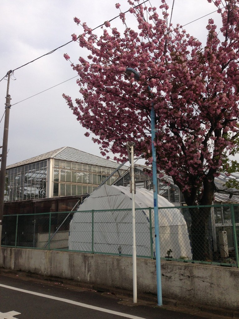 東京都立 農芸高等学校 - メイン写真: