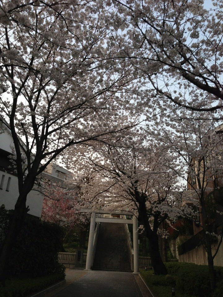 簸川神社 - メイン写真: