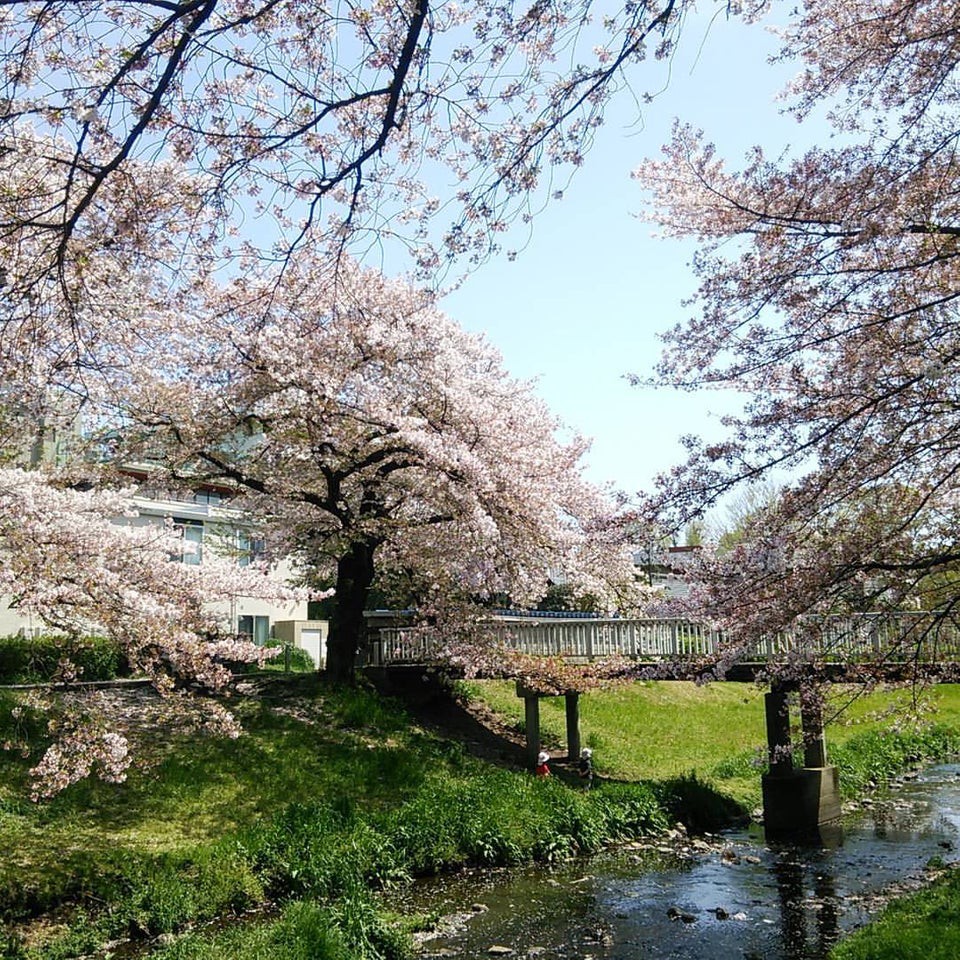 立川公園 - メイン写真: